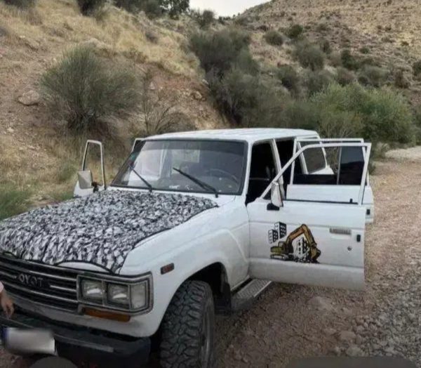 تویوتا لندکروز استیشن fj60 ( تویوتا فرماندهی ) _ 1982 - تصویر 3